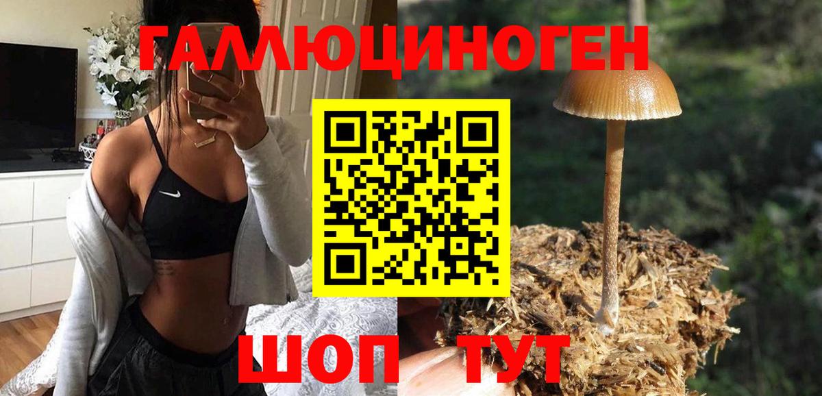 Псилоцибиновые грибы мухоморы  Вход с VPN  Галлюциногенные грибы ЛСД  Вышний Волочёк 