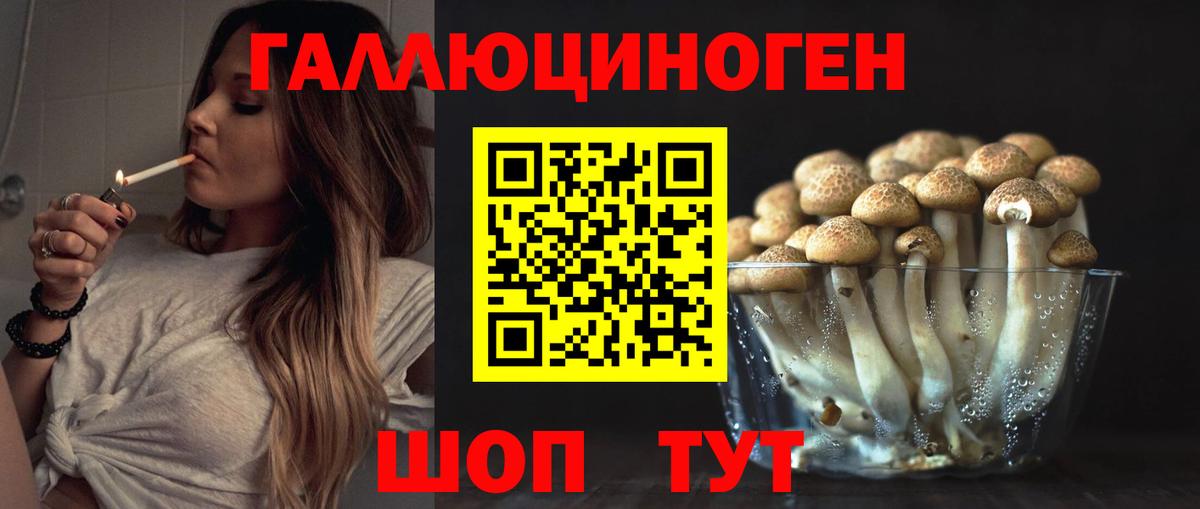 Псилоцибиновые грибы Cubensis Вышний Волочёк